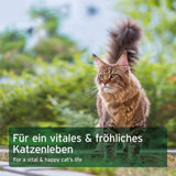 AniForte BARF Complete Cat 100 g