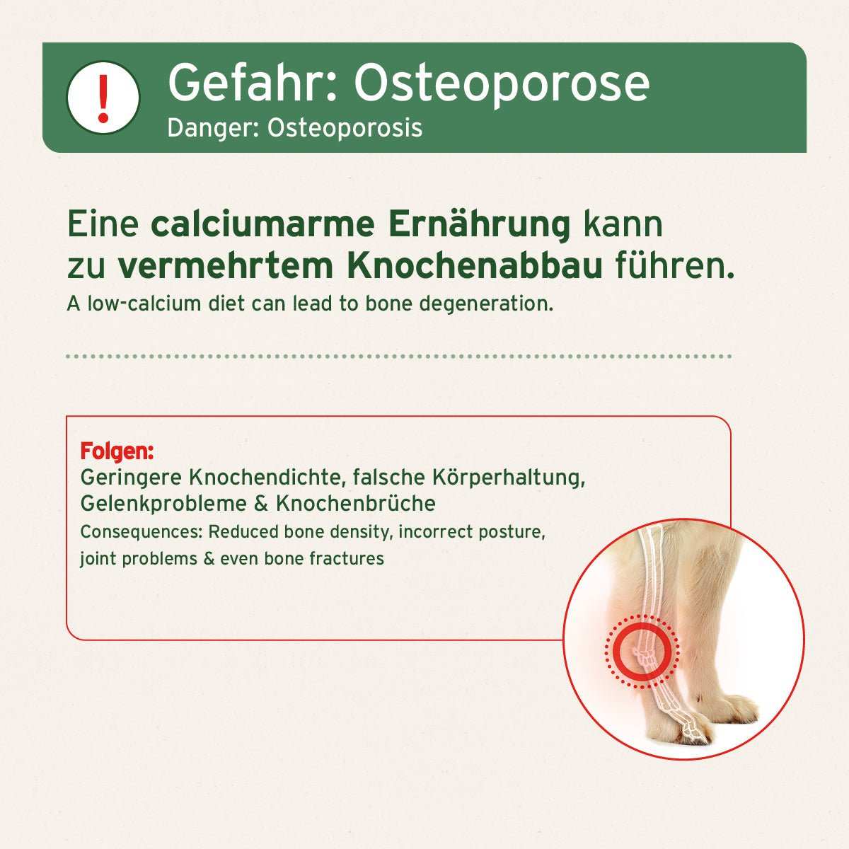 AniForte BARF-Line Gemahlene Knochen Pferd