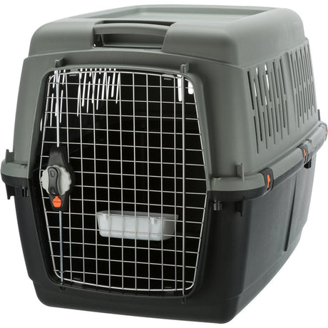Be Eco Transportbox Flugbox Giona