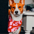 Bandana My boss is single