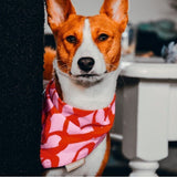 Bandana My boss is single
