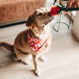 Bandana My boss is single