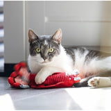 Bewegender Hummer Katzenspielzeug