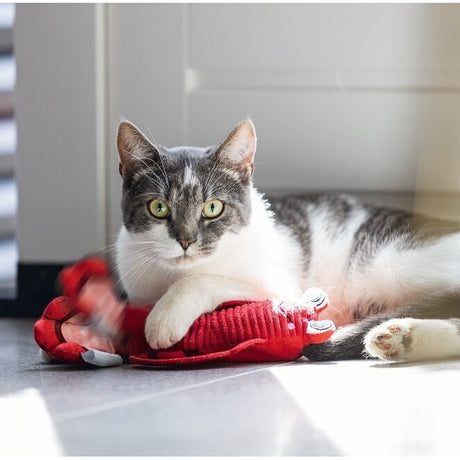 Bewegender Hummer Katzenspielzeug