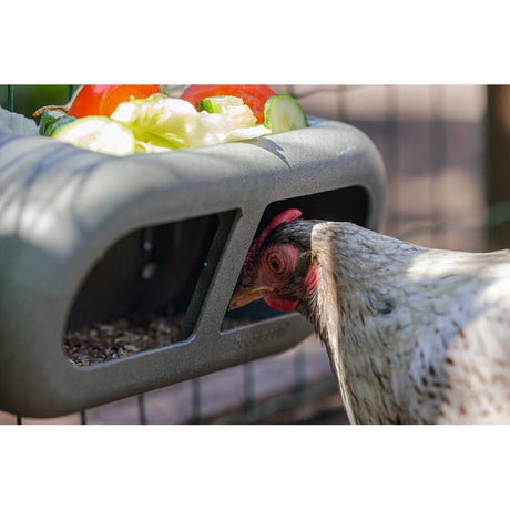 ECO Hühner Feeder