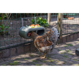 ECO Hühner Feeder