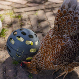 ECO Hühner Snackball