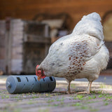 ECO Hühner Snackroller
