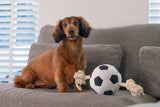 Großer Hundeball Plüschball mit Seil