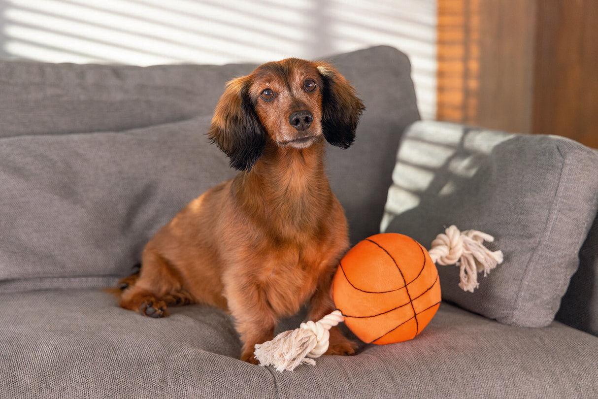 Großer Hundeball Plüschball mit Seil