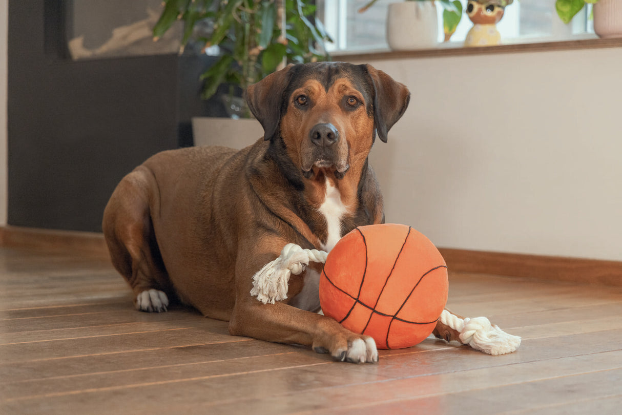 Großer Hundeball Plüschball mit Seil