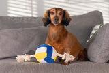 Großer Hundeball Plüschball mit Seil
