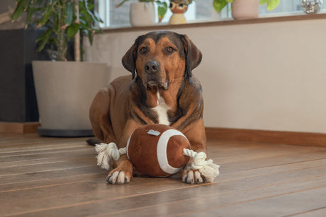 Großer Hundeball Plüschball mit Seil
