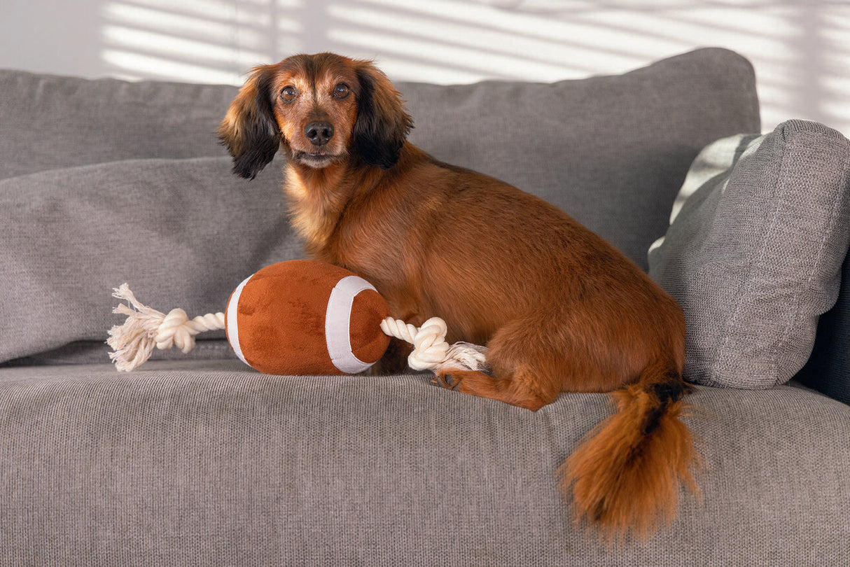Großer Hundeball Plüschball mit Seil