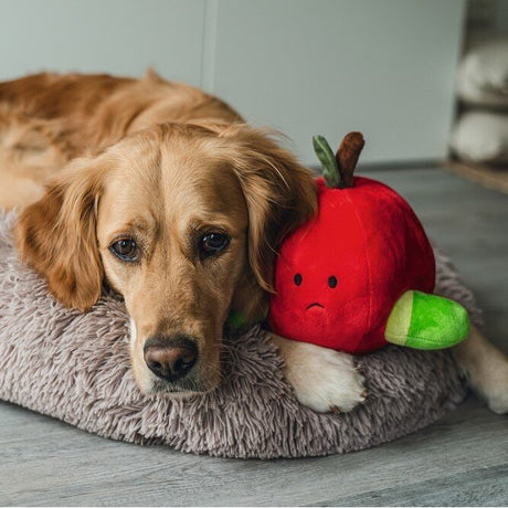 Hide and Seek Apfel Hundespielzeug