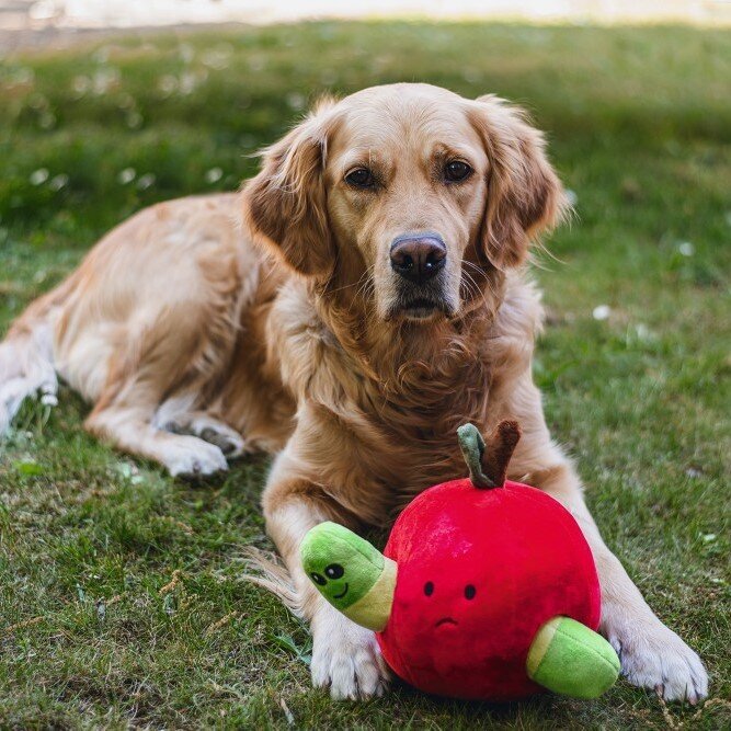 Hide and Seek Apfel Hundespielzeug