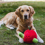 Hide and Seek Apfel Hundespielzeug