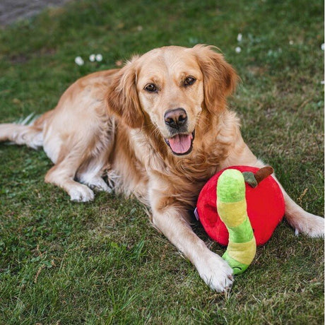 Hide and Seek Apfel Hundespielzeug