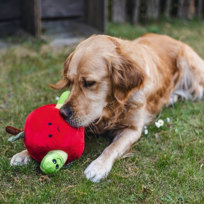 Hide and Seek Apfel Hundespielzeug