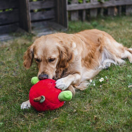 Hide and Seek Apfel Hundespielzeug