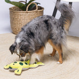 Hide and Seek Frosch Hundespielzeug
