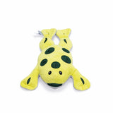 Hide and Seek Frosch Hundespielzeug