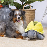 Hide and Seek Schildo Hundespielzeug