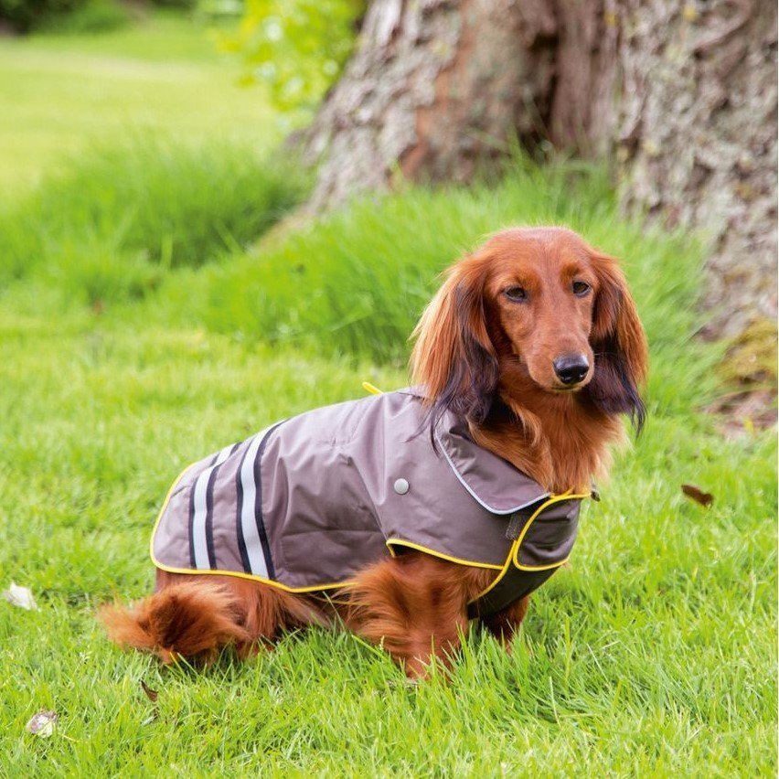 Hunde Regenmantel Seja Reflex