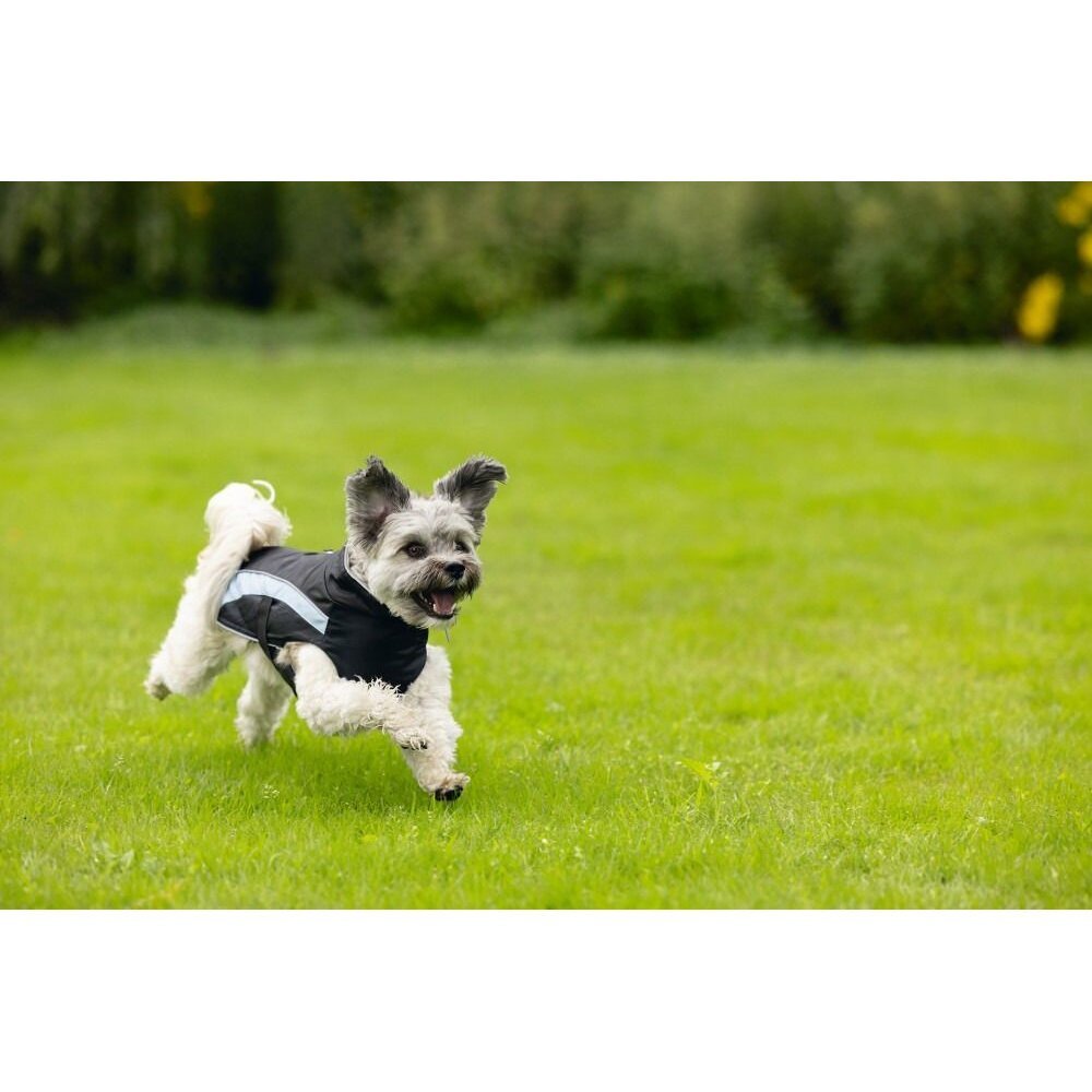 Hundemantel Saby