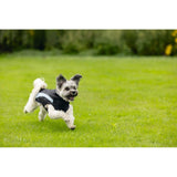 Hundemantel Saby