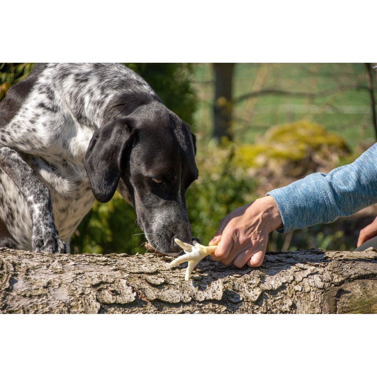 Beeztees Hundesnack Hühnerfüsse geröstet