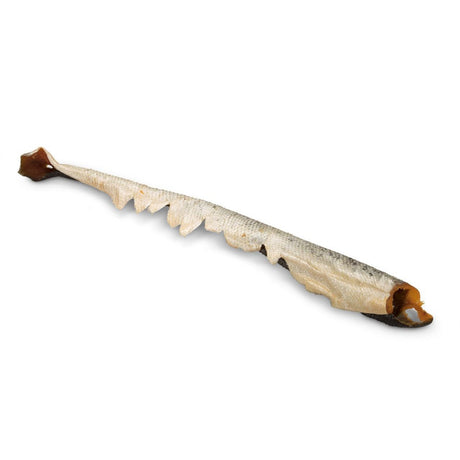 Beeztees Lachshaut Hundesnack – fette Lachshaut - 1 Stck.