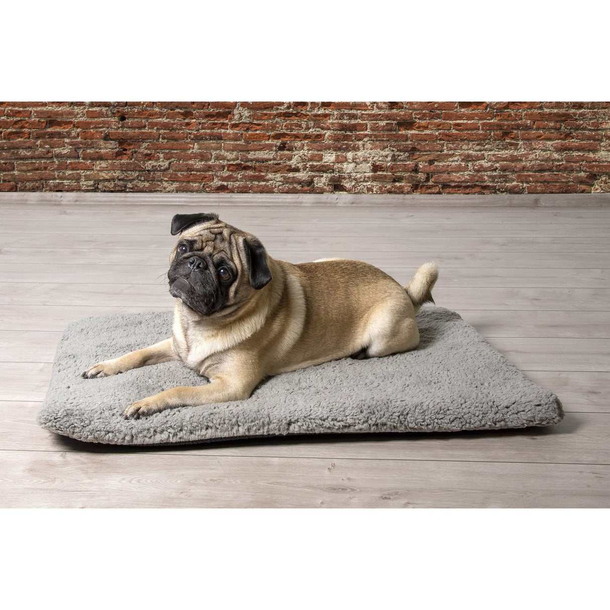 Beeztees Memoryfoam Liegekissen Ito für Hunde
