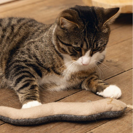 Minus One Nachhaltiges Katzen Spielzeug Schlange