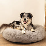 Orthopädisches Hundebett Jaxx, rund