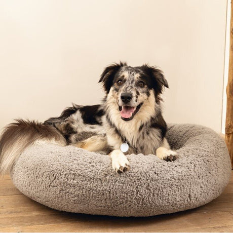 Orthopädisches Hundebett Jaxx, rund