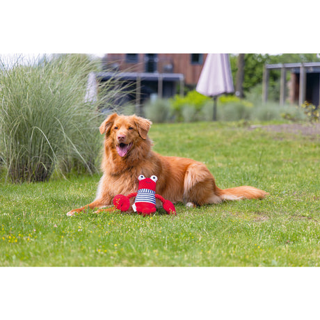 Plüsch Hundespielzeug Hummer Frits