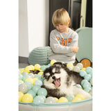 Beeztees Puppy Bällebad Hundepool Funchie
