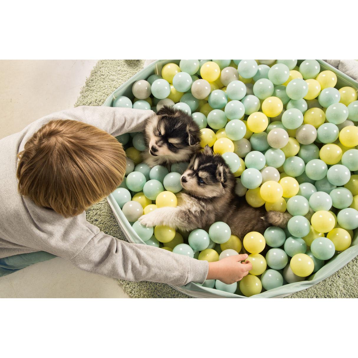 Beeztees Puppy Bällebad Hundepool Funchie