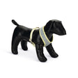 Beeztees Puppy Hundegeschirr für Welpen