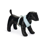 Beeztees Puppy Hundegeschirr für Welpen