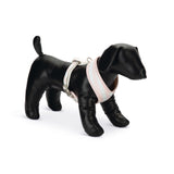 Beeztees Puppy Hundegeschirr für Welpen