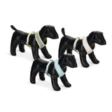 Beeztees Puppy Hundegeschirr für Welpen