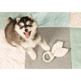 Beeztees Puppy Kauring für Welpen