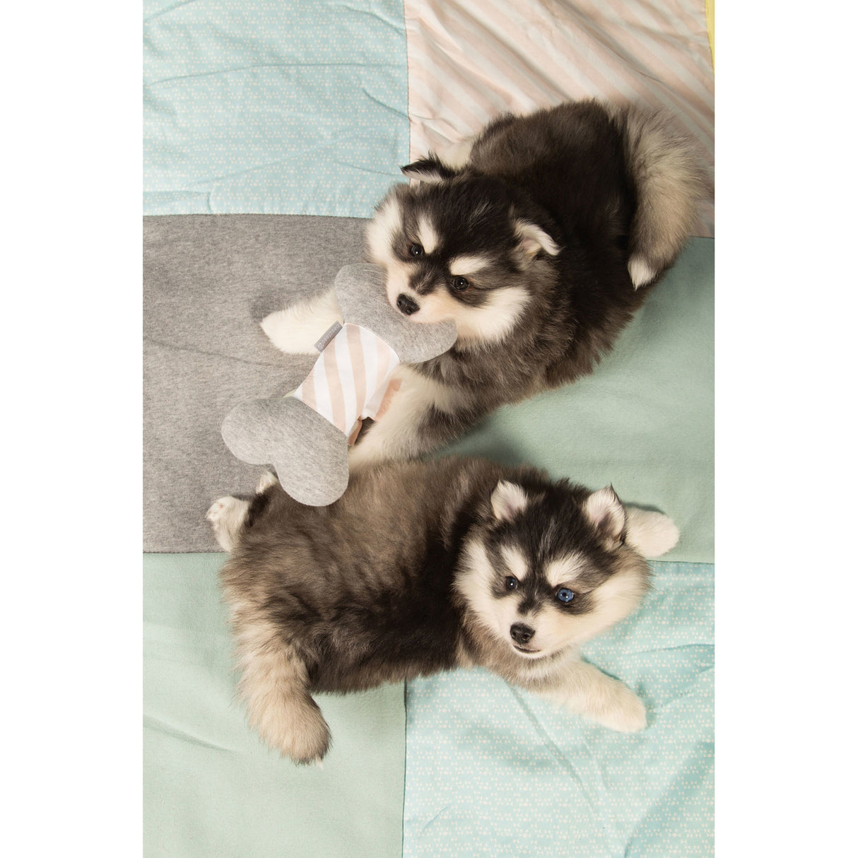 Beeztees Puppy Spielknochen