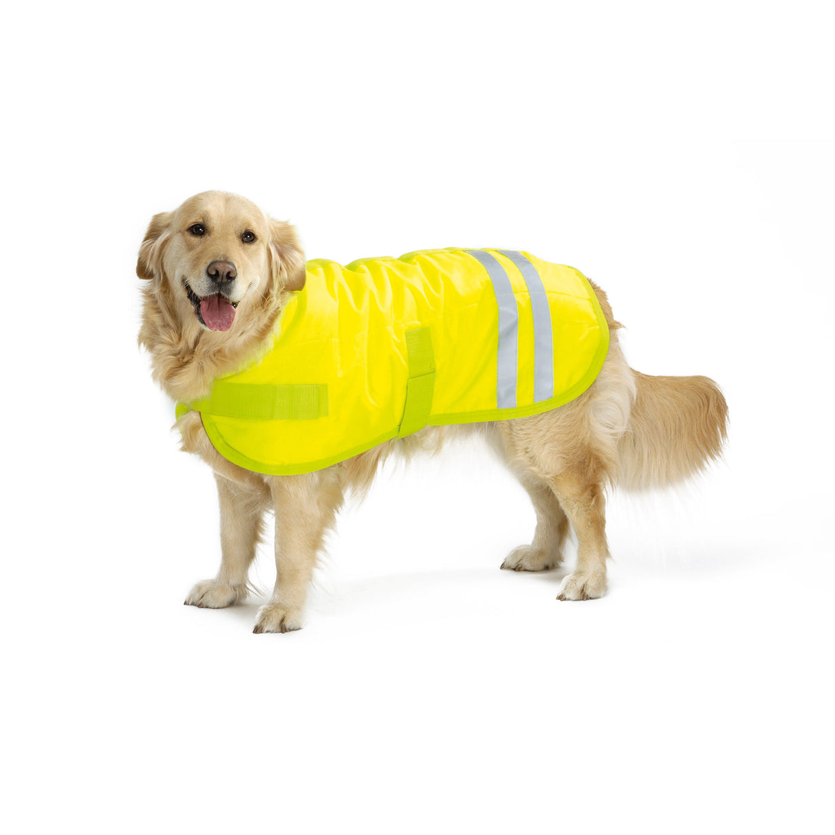 Beeztees reflektierender Hundemantel Teddie