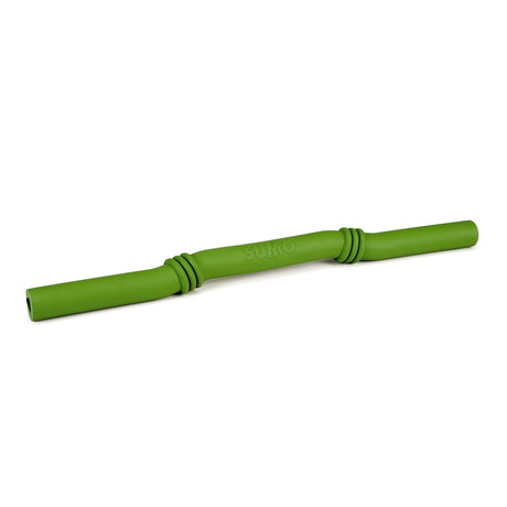 BEEZTEES Sumo Fit Stick Hundespielzeug – 50 x 3 x 3 cm, grün