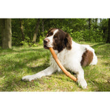 BEEZTEES Sumo Fit Stick Hundespielzeug