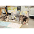 Beeztees Welpen Kuschelspielzeug Cosy