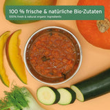 AniForte Bio BARF Püree "Fenchel & Mango" 14 x 150 g